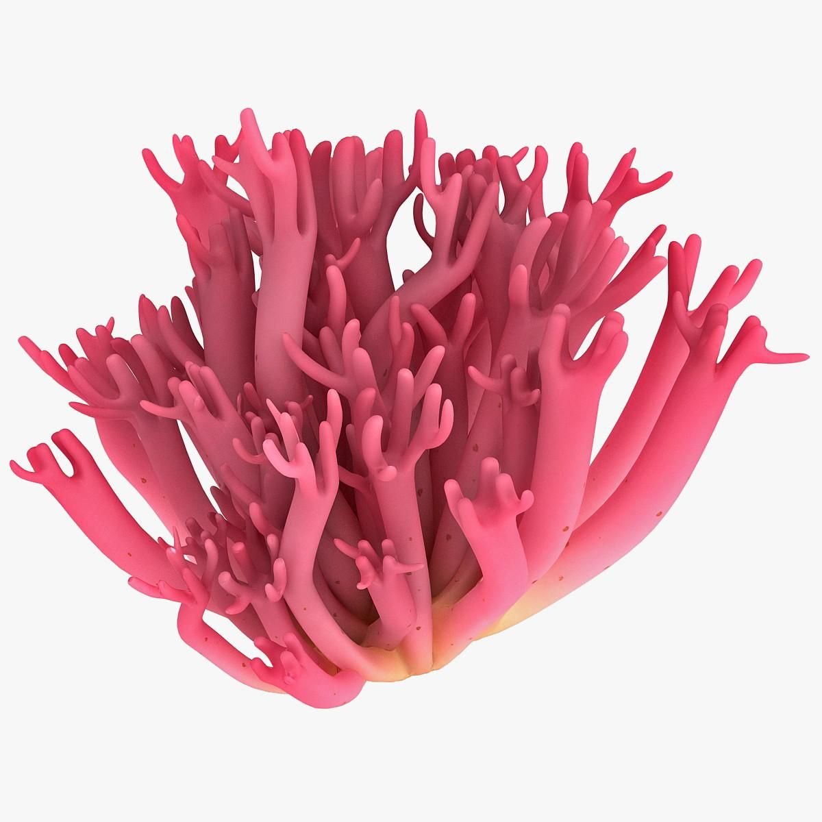 Coral 3d model