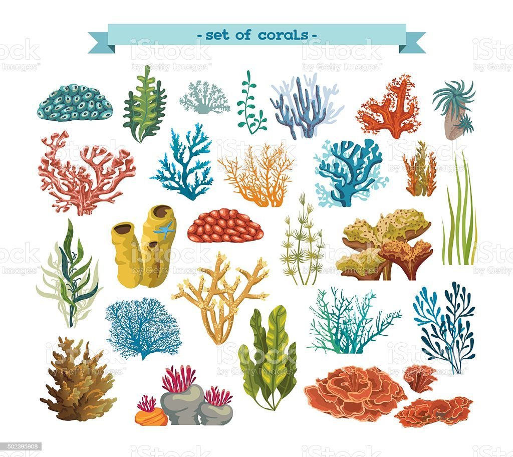 Рисуем водоросли и кораллы