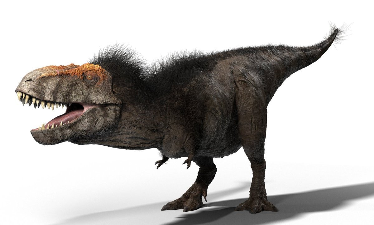 Пернатый Тираннозавр рекс