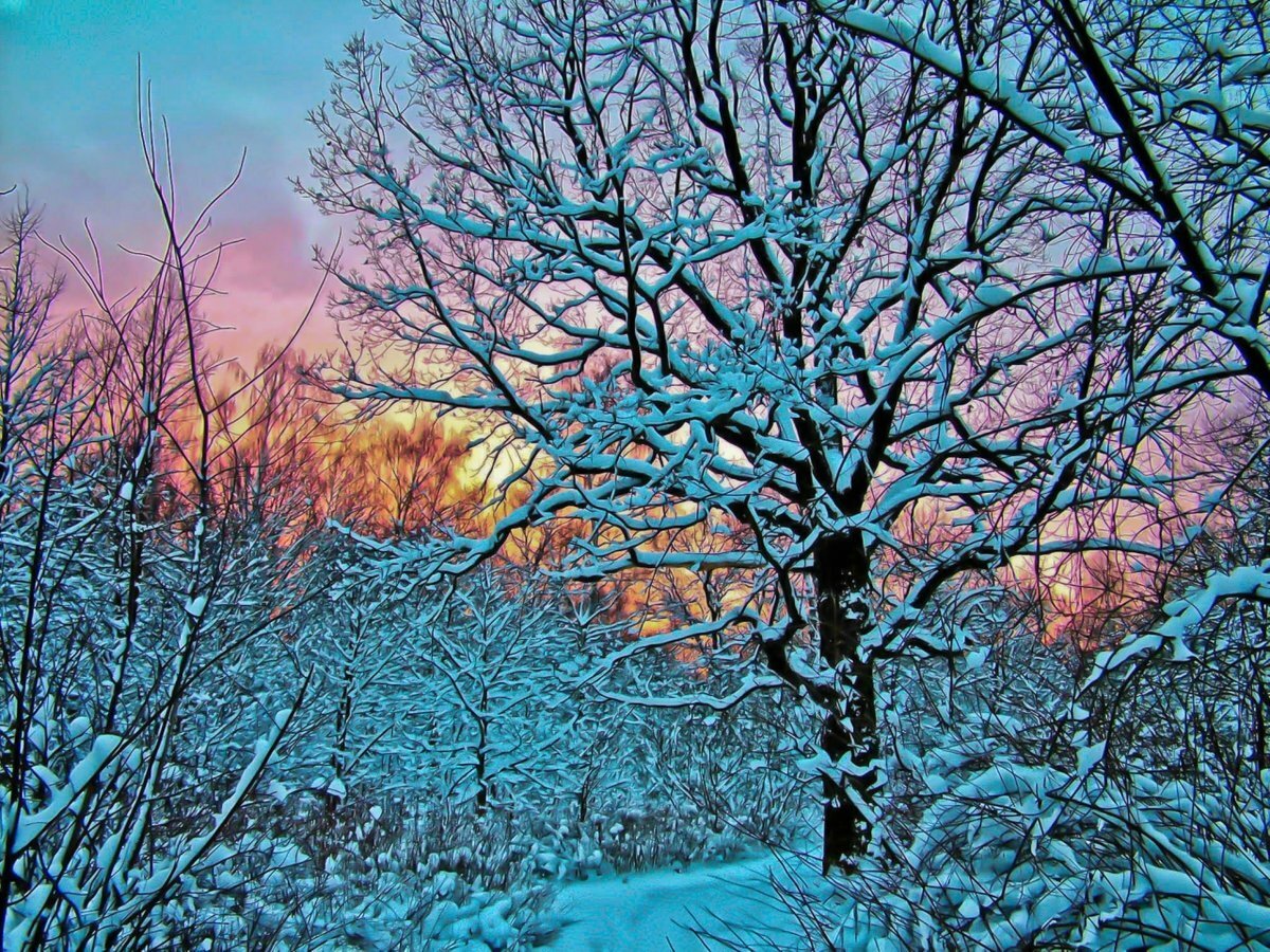 Декабрь природа