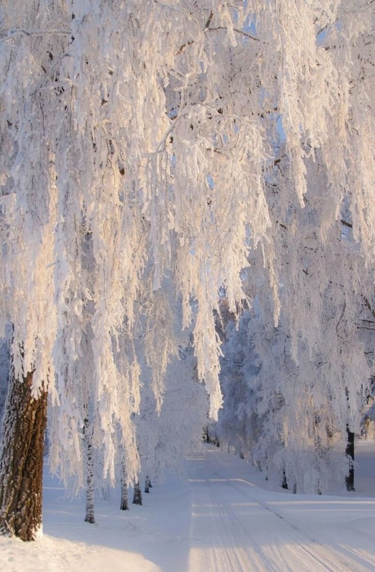 Осенне зимний фон