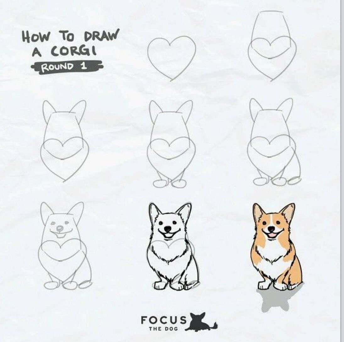 Корги мультяшный