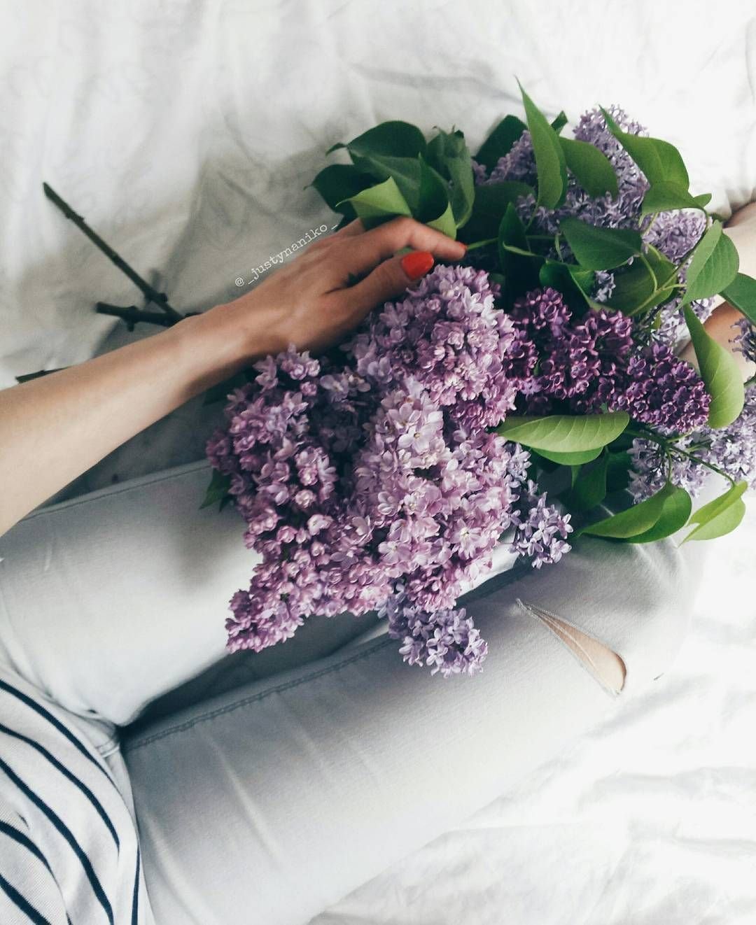 Букет сирени в руках