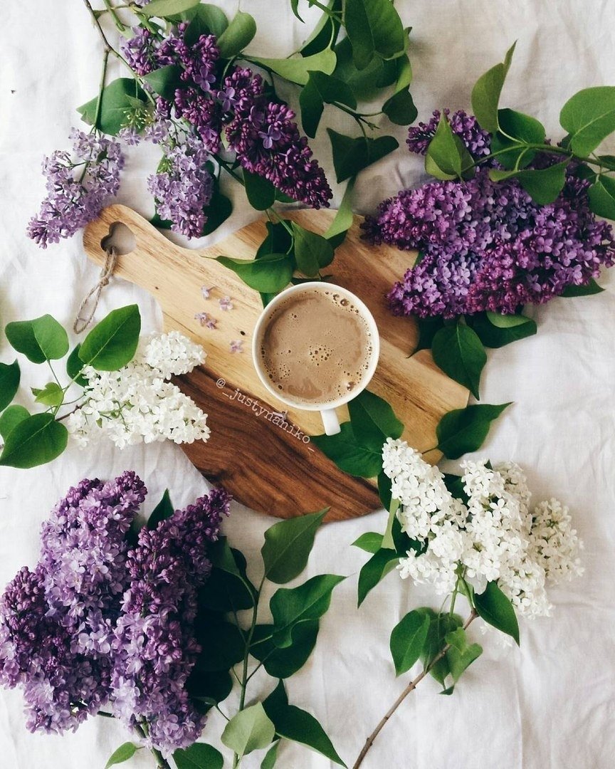 Чай с сиренью