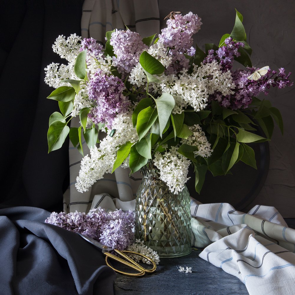 Фотонатюрморты с сиренью Сергея Алексеева