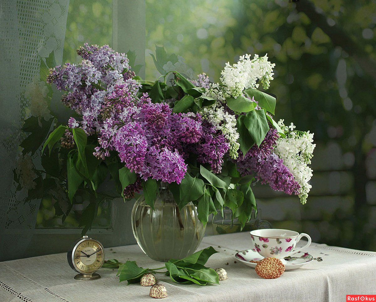 Фотохудожник Быкова сирень