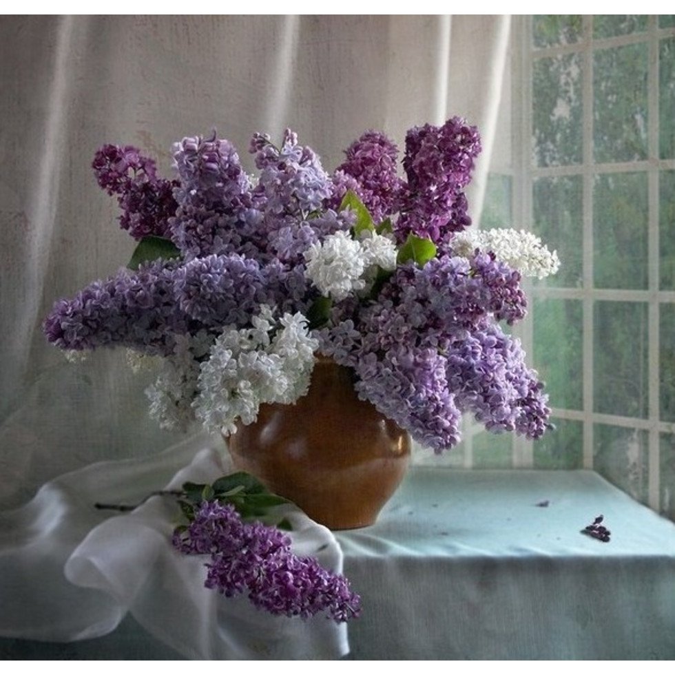 Мане букет сирени