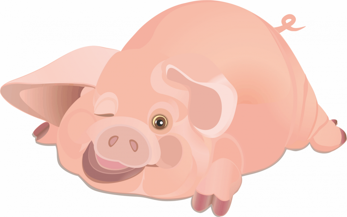 Свинья копилка на прозрачном фоне