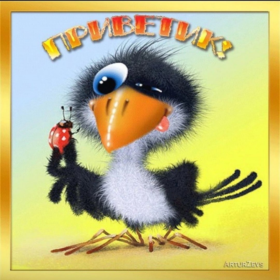 Прикольные открытки