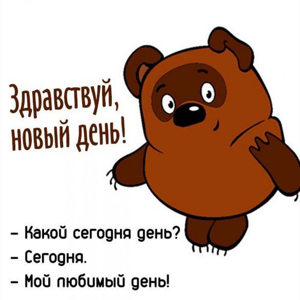 Кот и капуста Мем