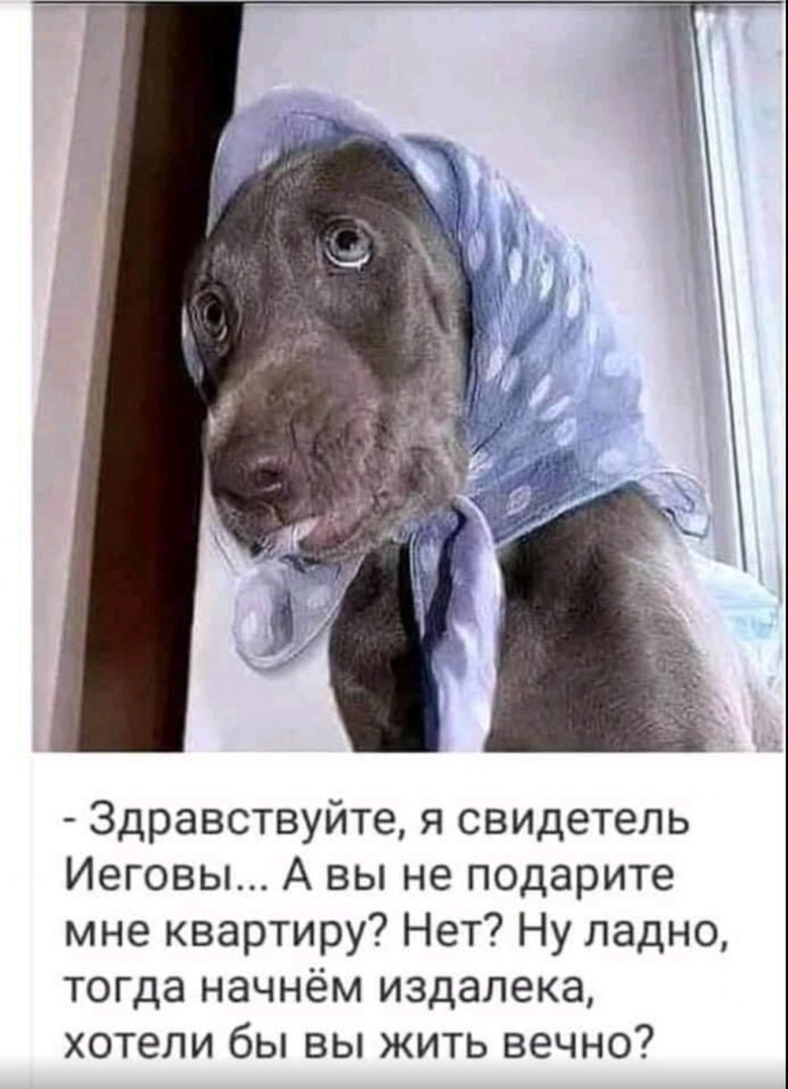 Характер у меня золотой потому и тяжелый