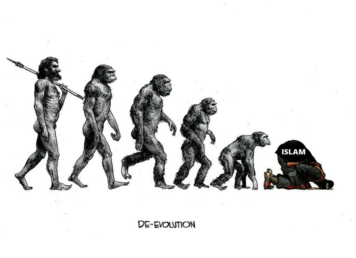 Хомо сапиенс Эволюция