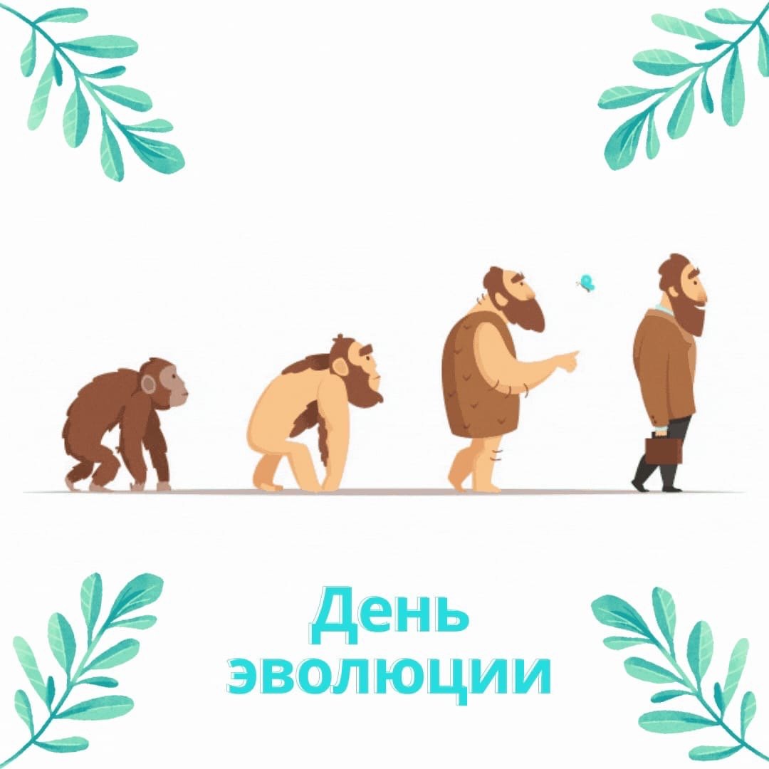 Эволюция от обезьяны к бизнесмену