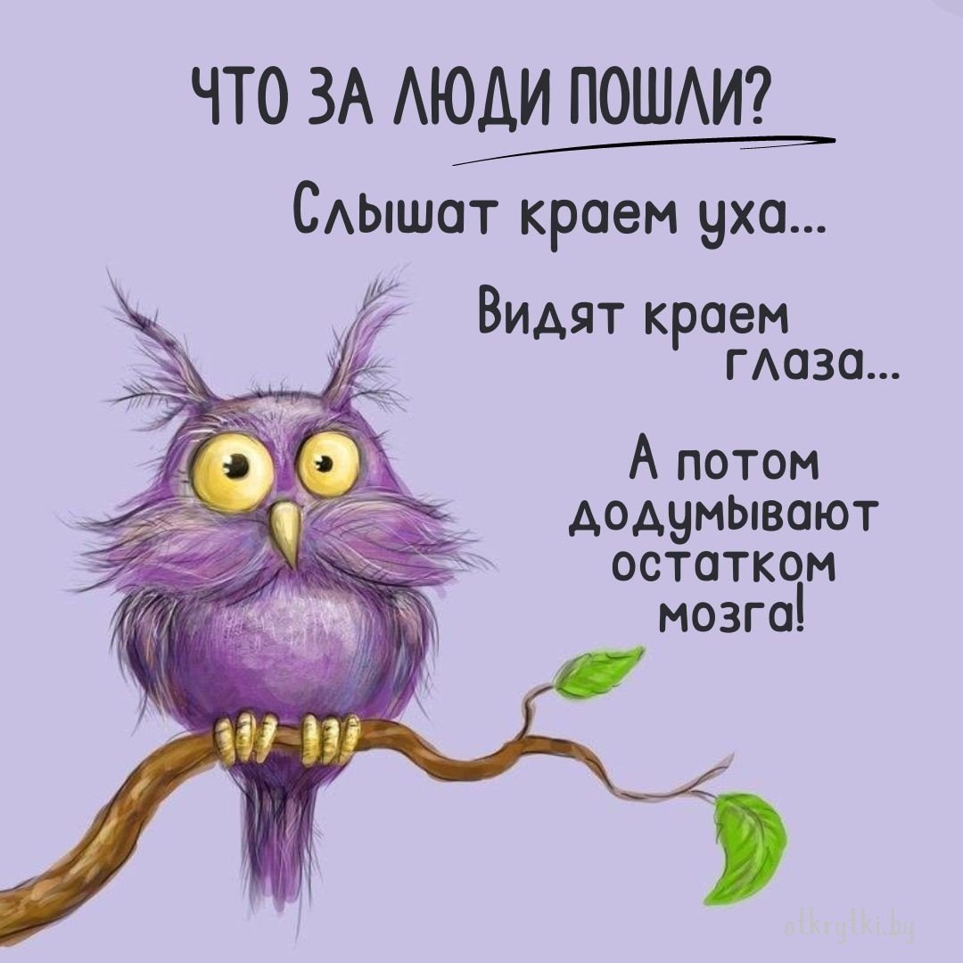 Сумасшедшая птичка