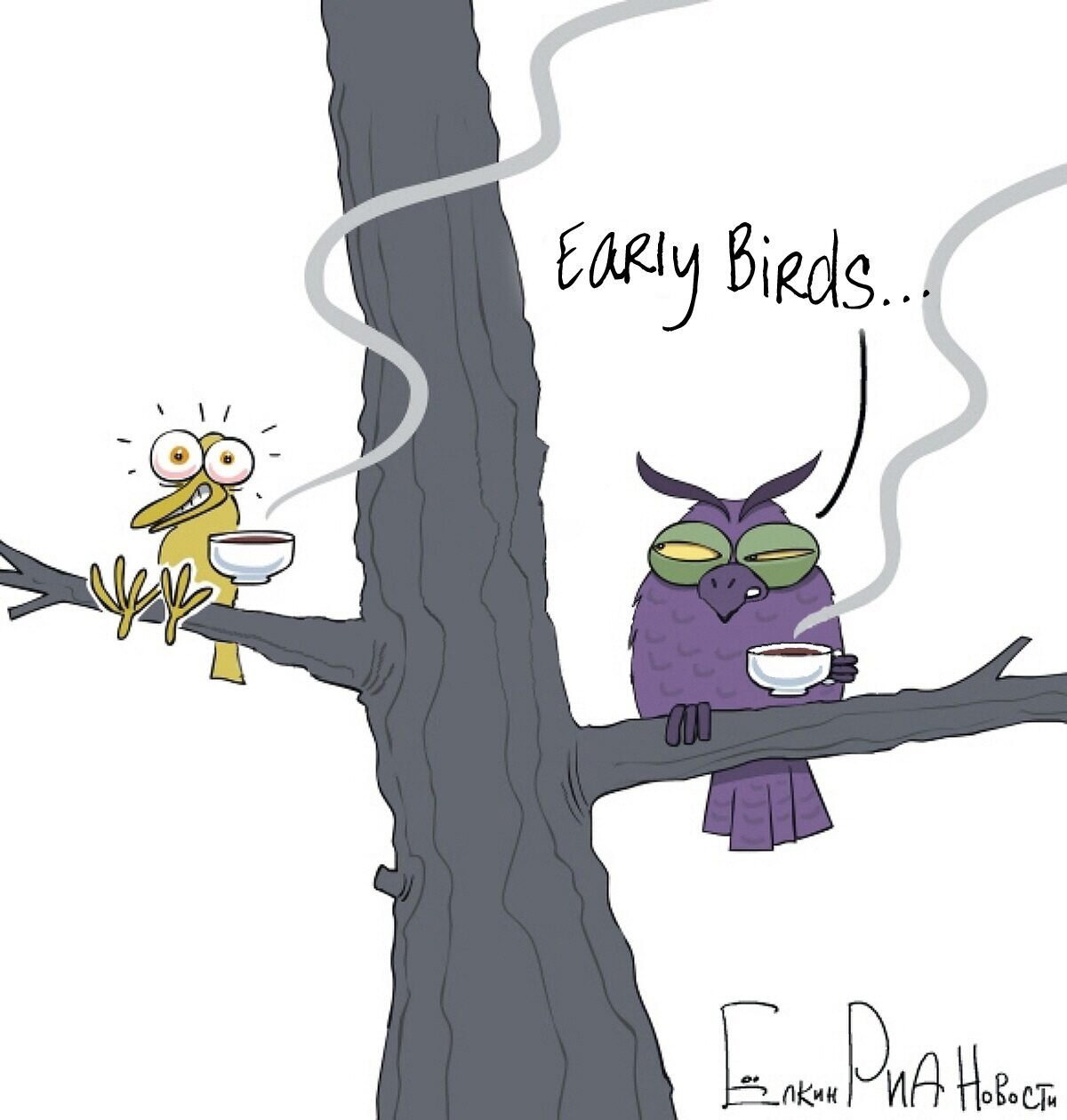 Сова карикатура