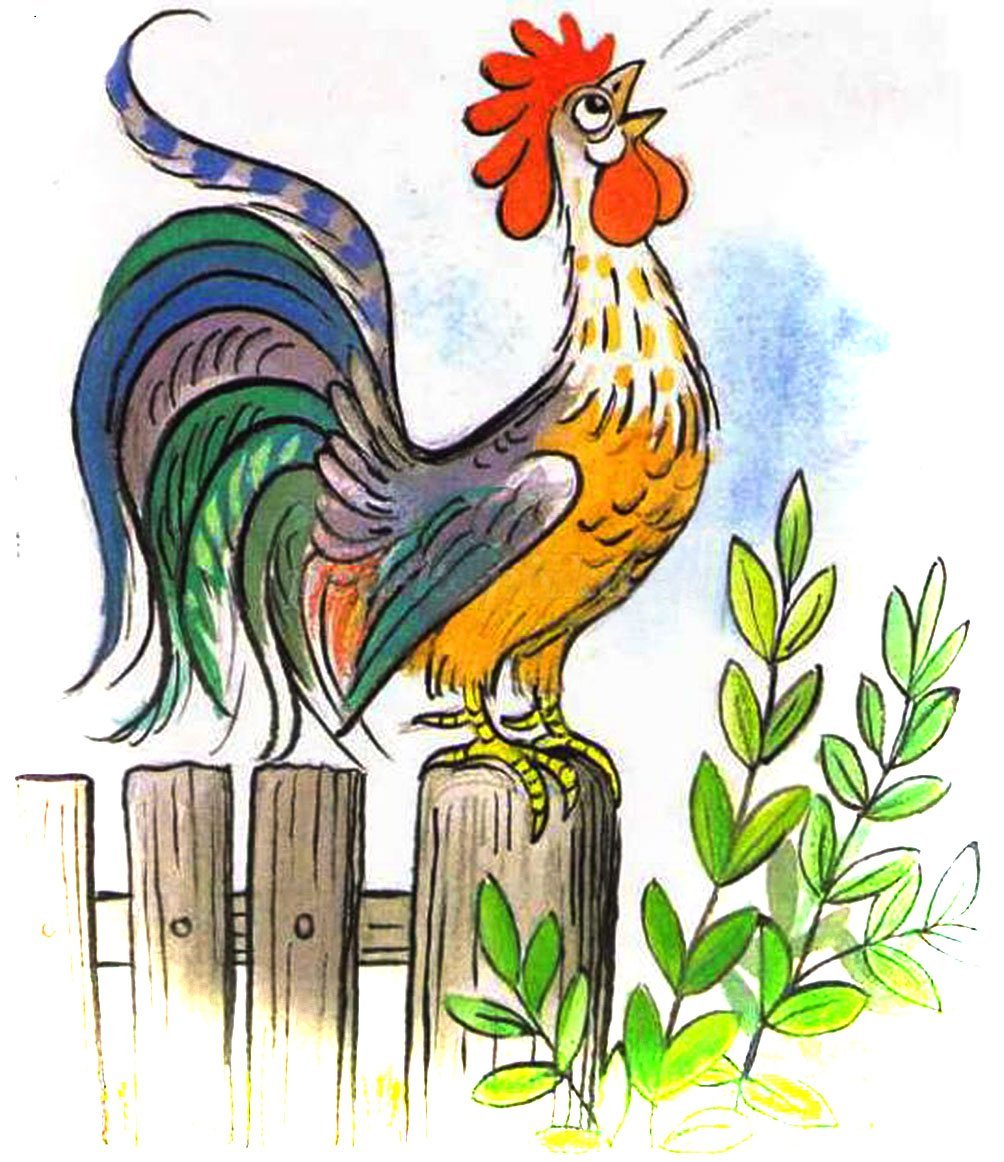 Карикатурный рисунок петуха