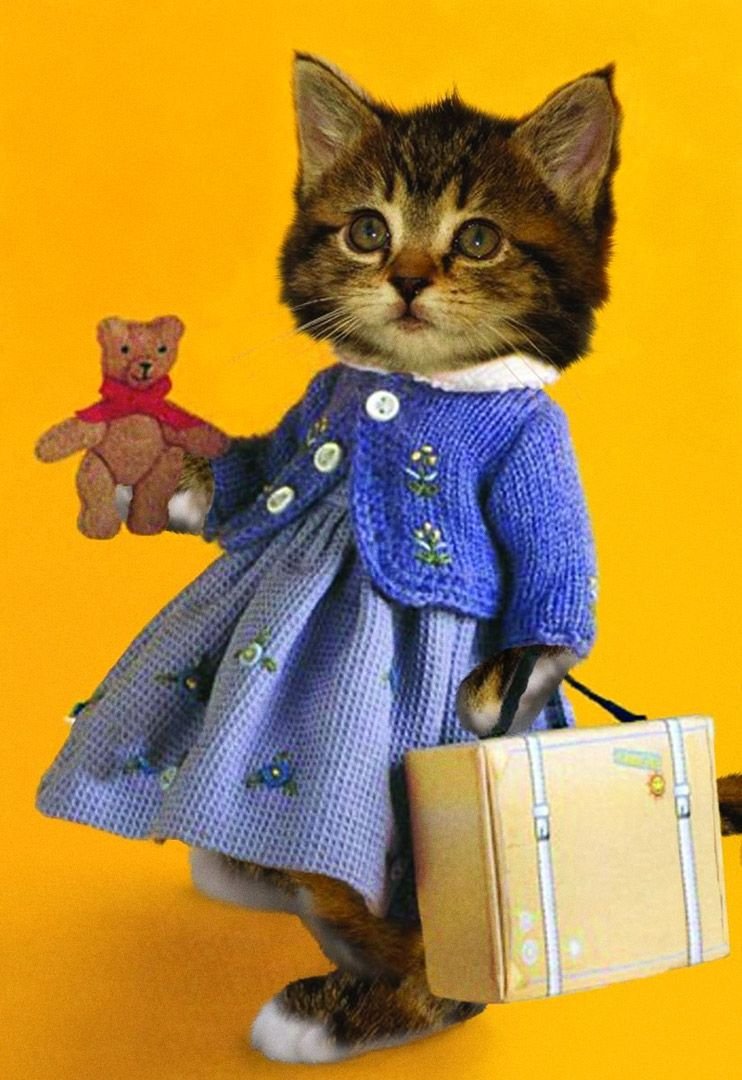 Кошка в платье