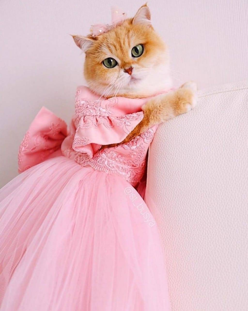 Девочка Буся это имя