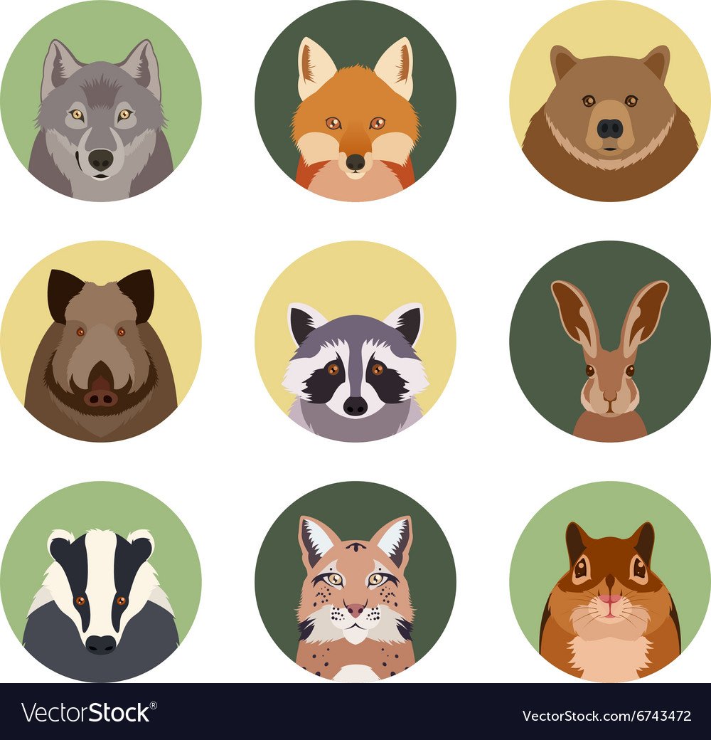 Животные в кружочках