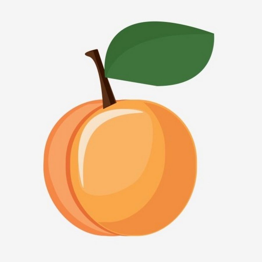 Абрикос нарисовать