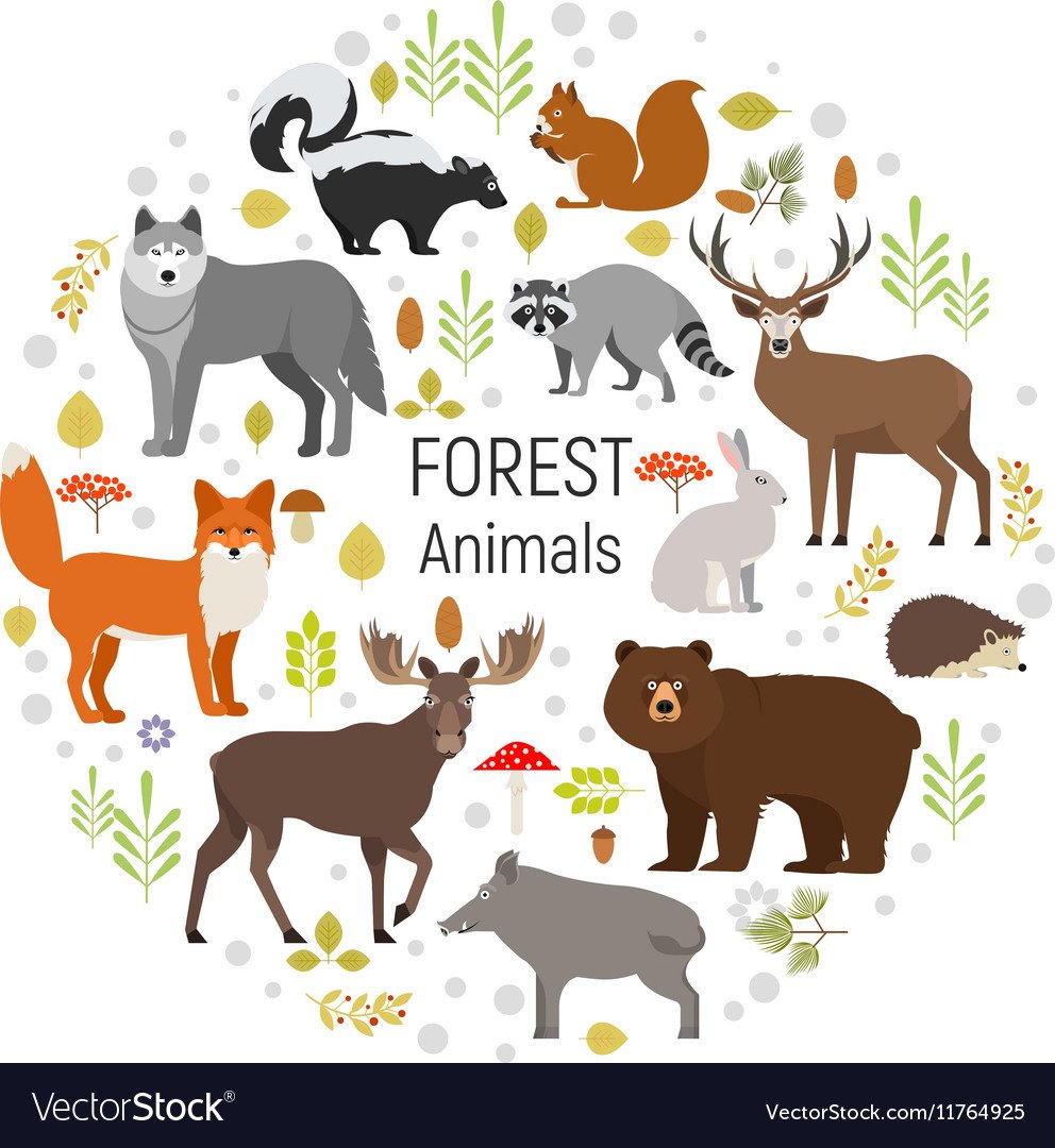 Стоковые иллюстрации животных и растений