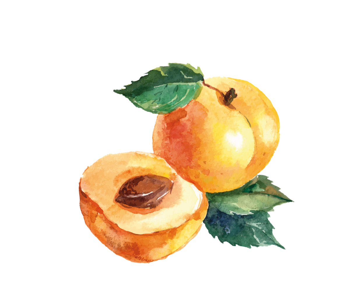 Персик акварелью