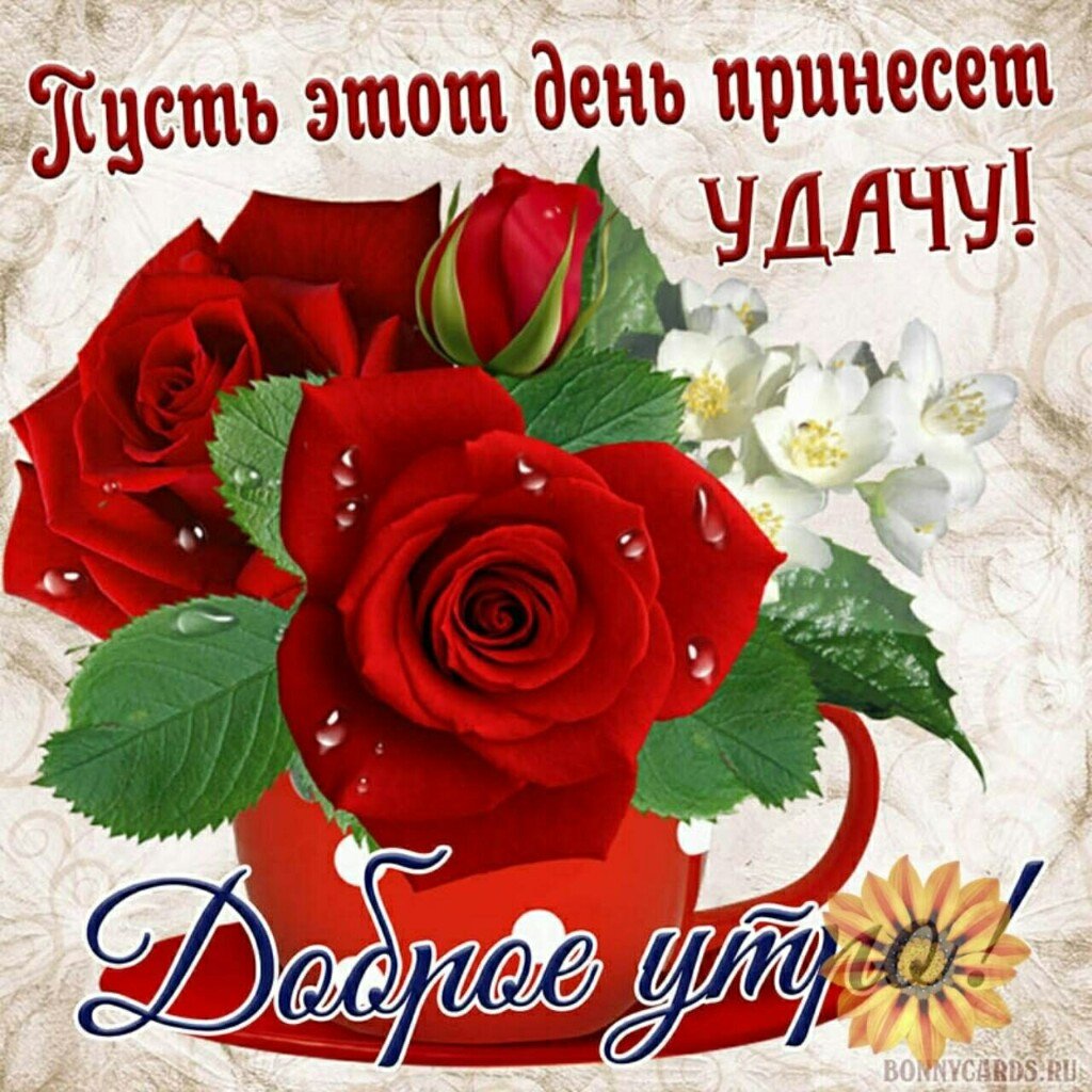 Доброе утрос красными розаии