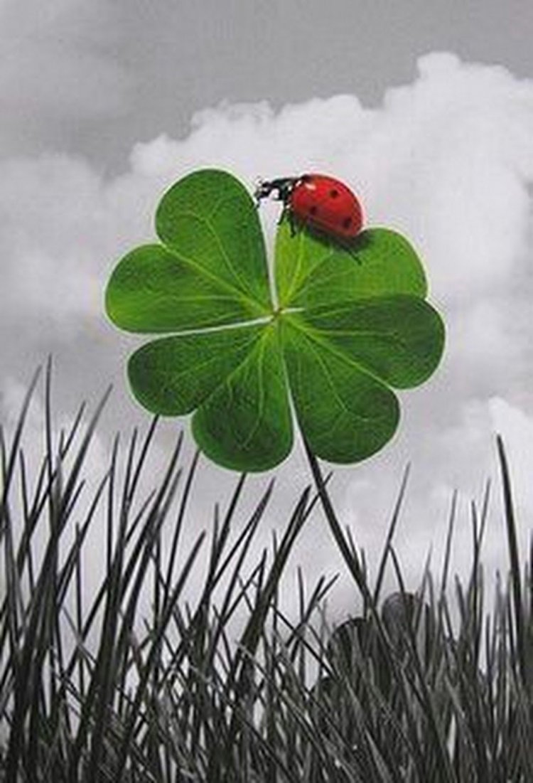 Заставка для привлечения денег