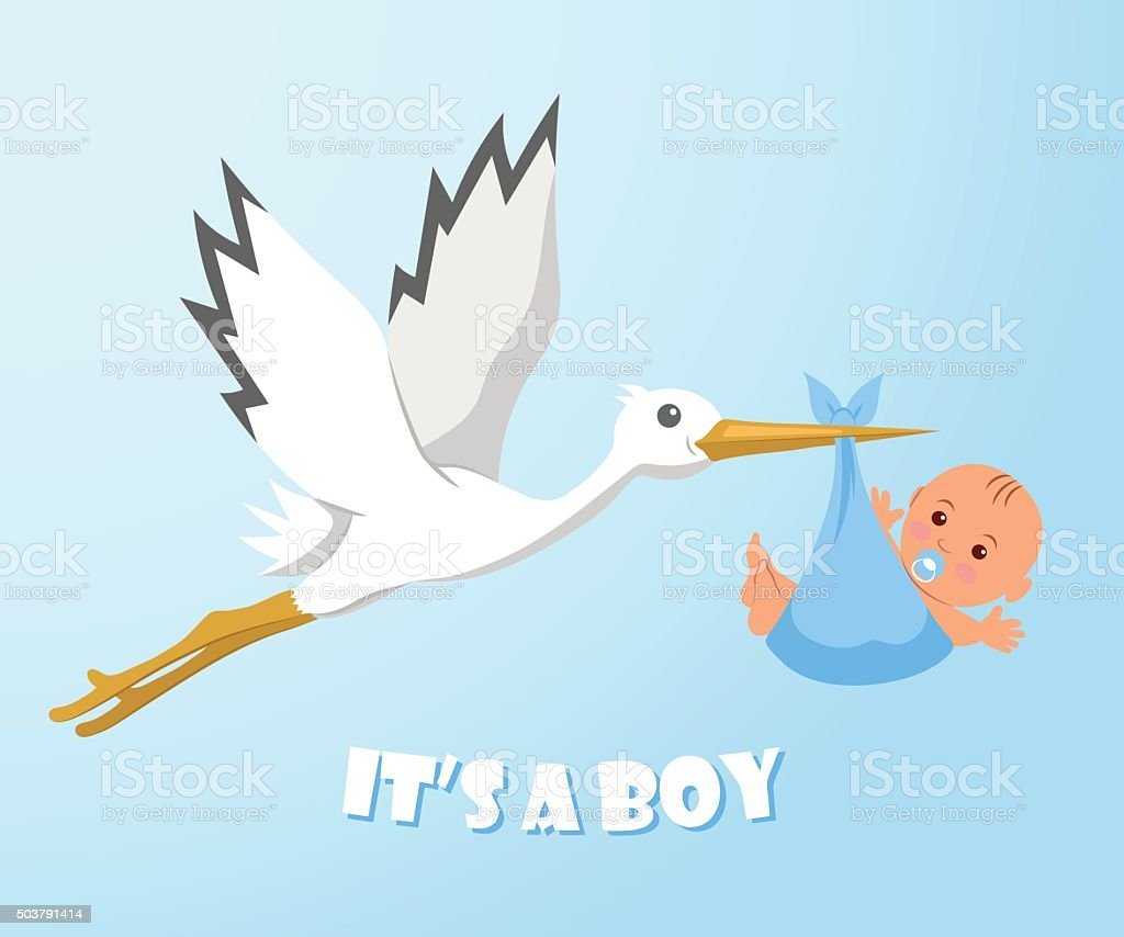 Аист с ребенком в клюве