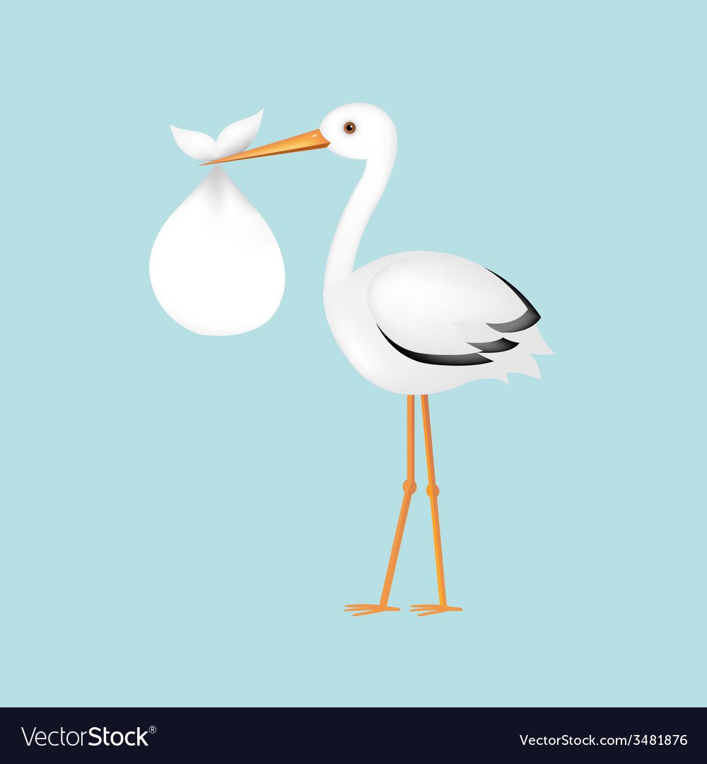 Аист с младенцем на прозрачном фоне