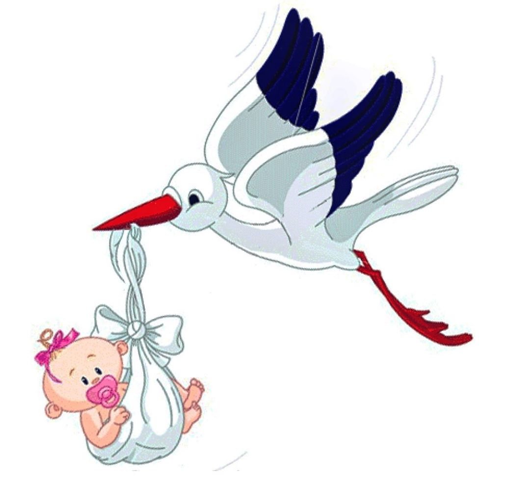 Аист с ребенком картинка