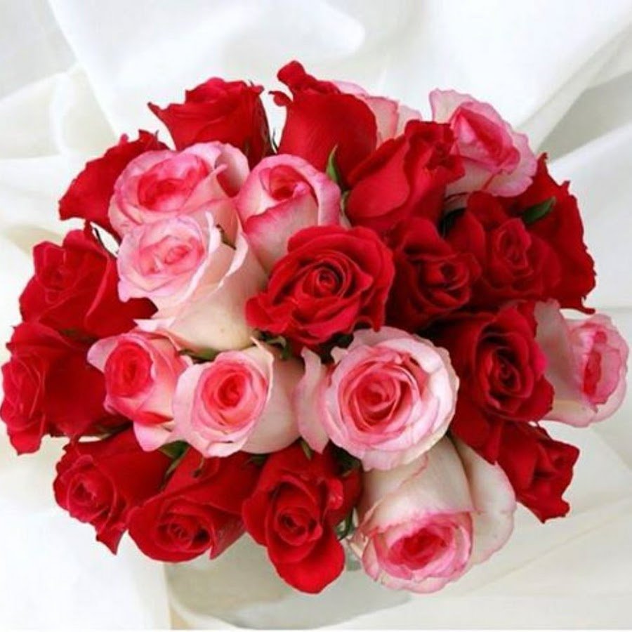 С днём рождения Настя поздравления