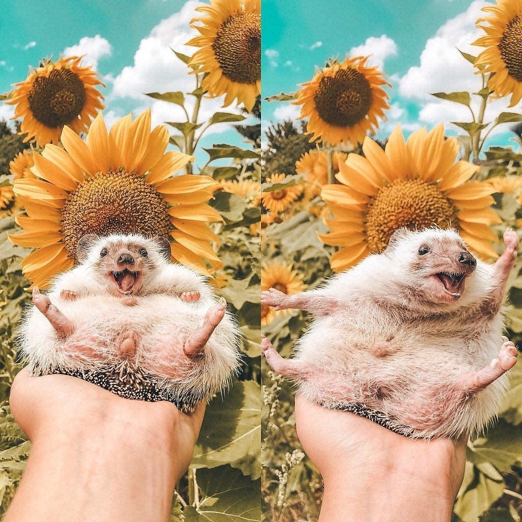 Радость рисунок