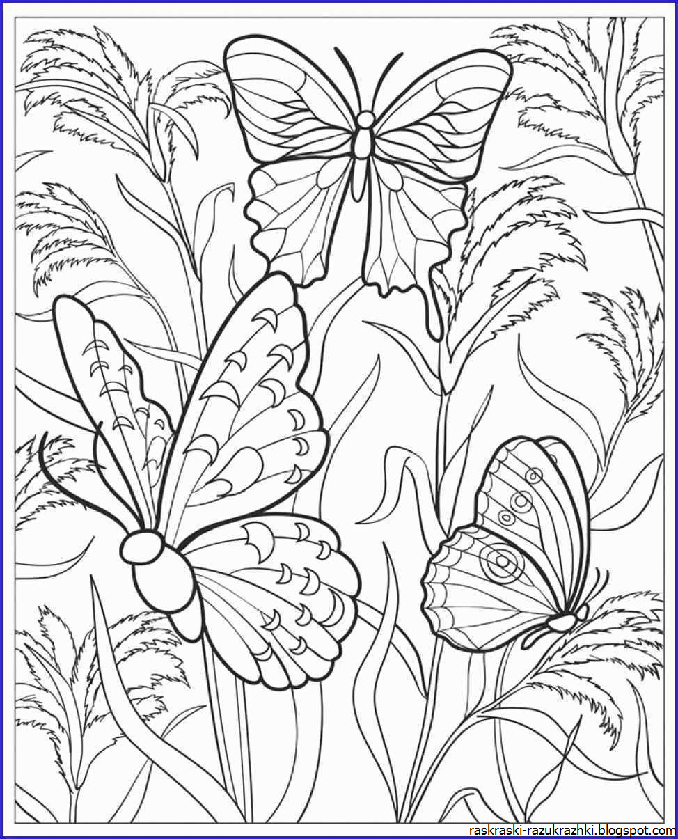 Роза раскраска