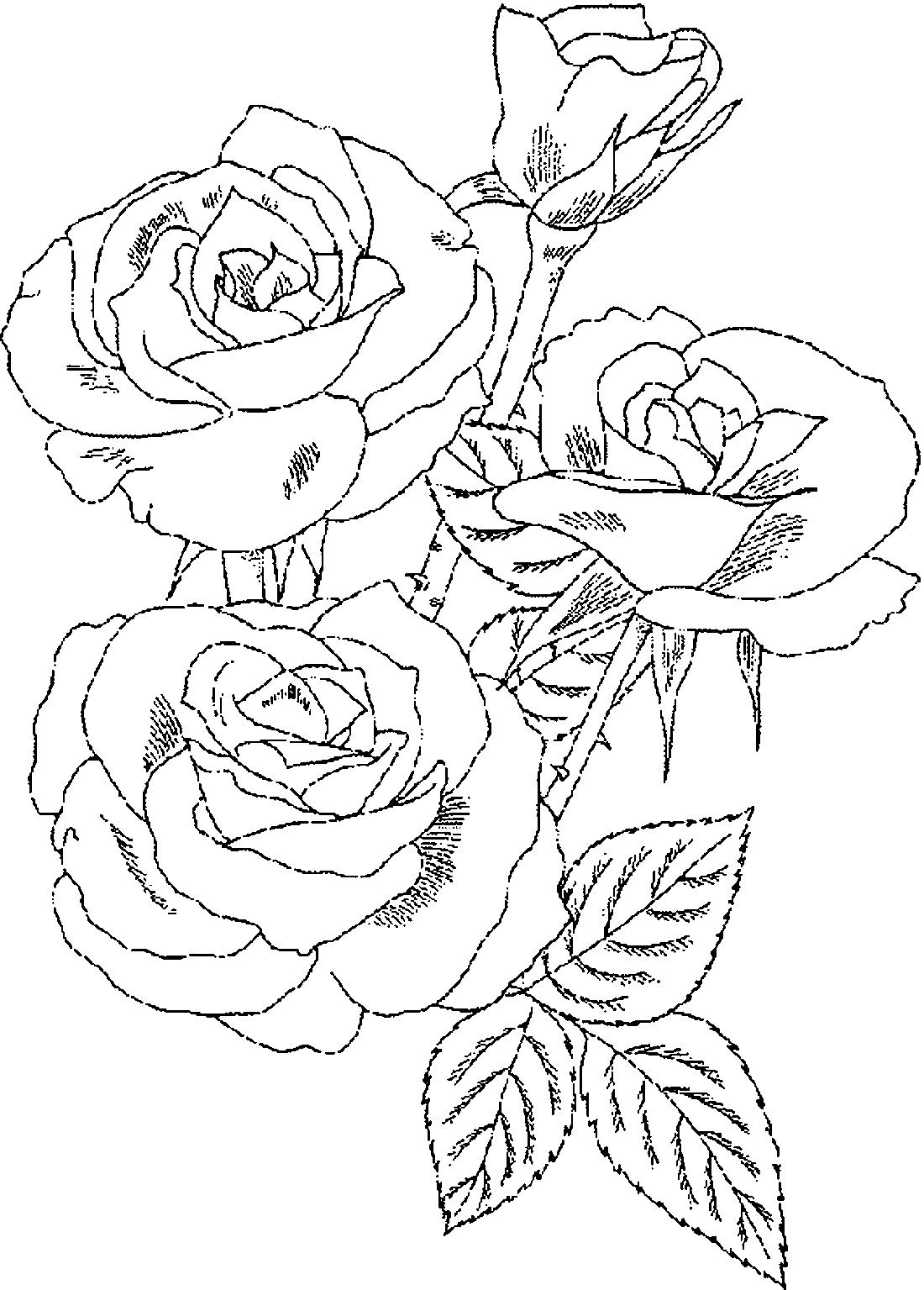 Раскраска "бабочки"