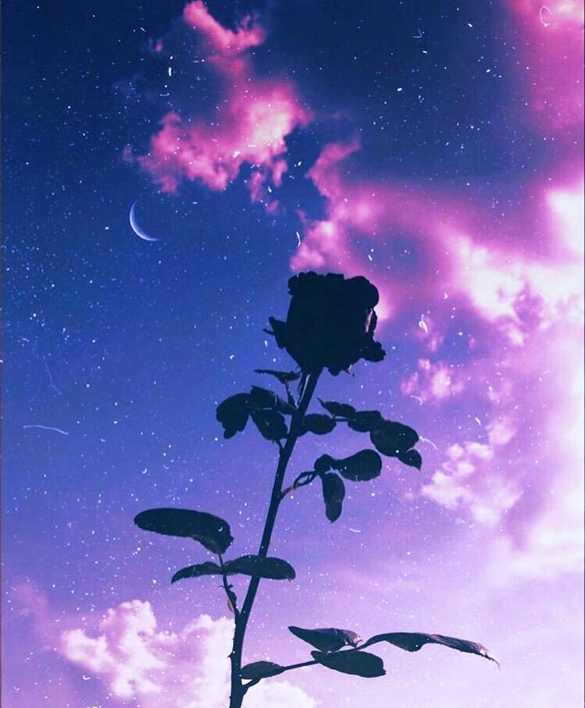 Эстетика фиолетового цвета