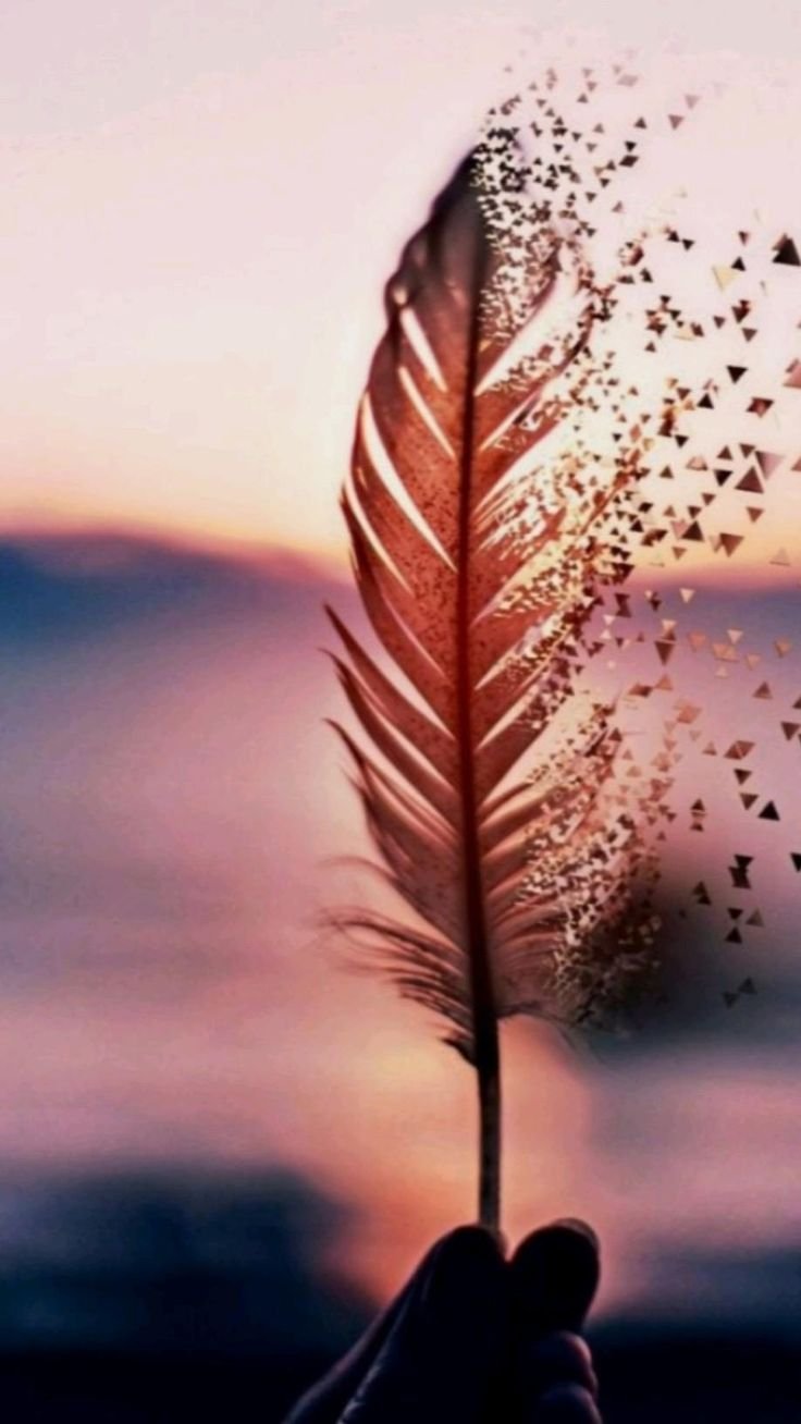 Перья летят