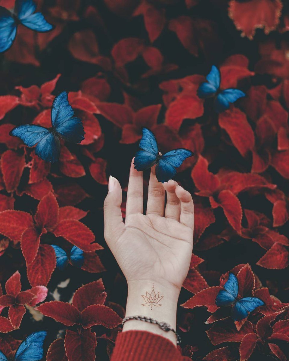 Эстетика красного и синего