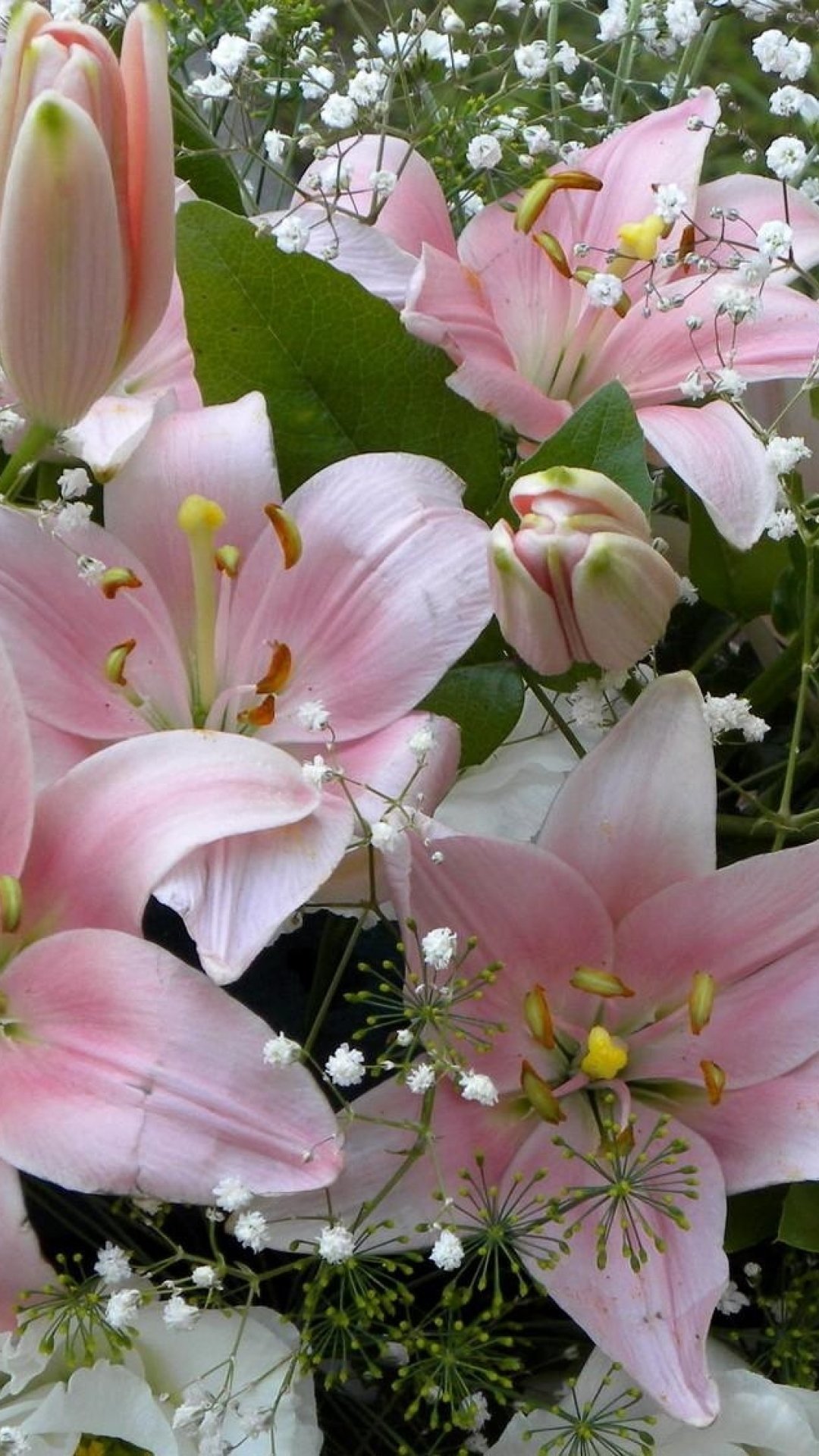 Мелкоцветные лилии