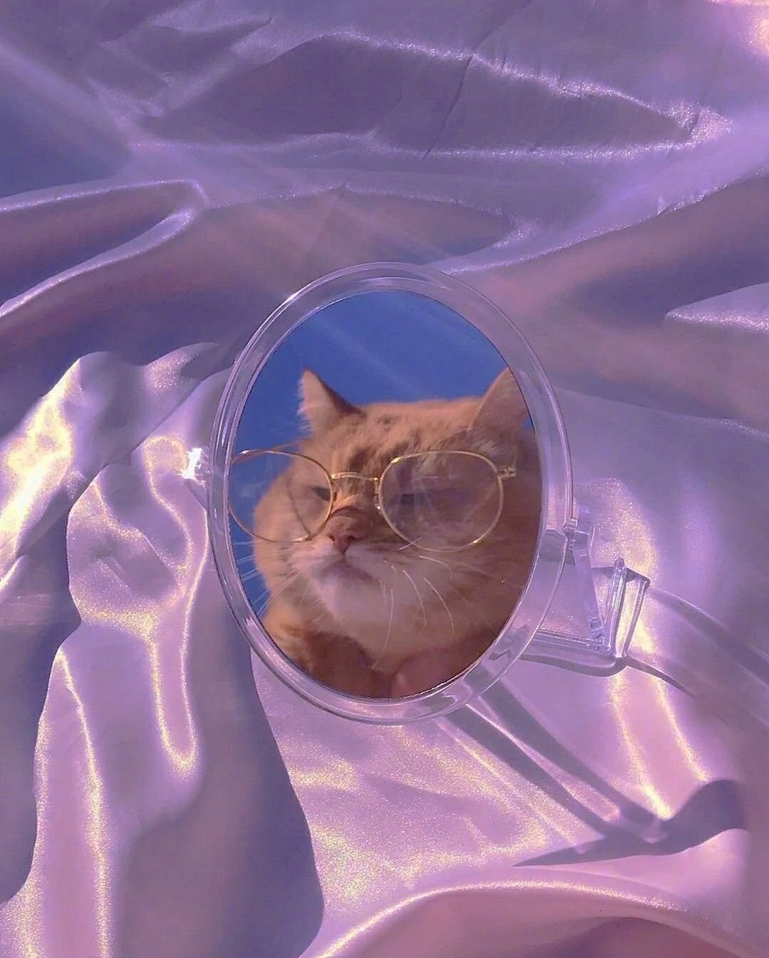 Смешные коты Эстетика