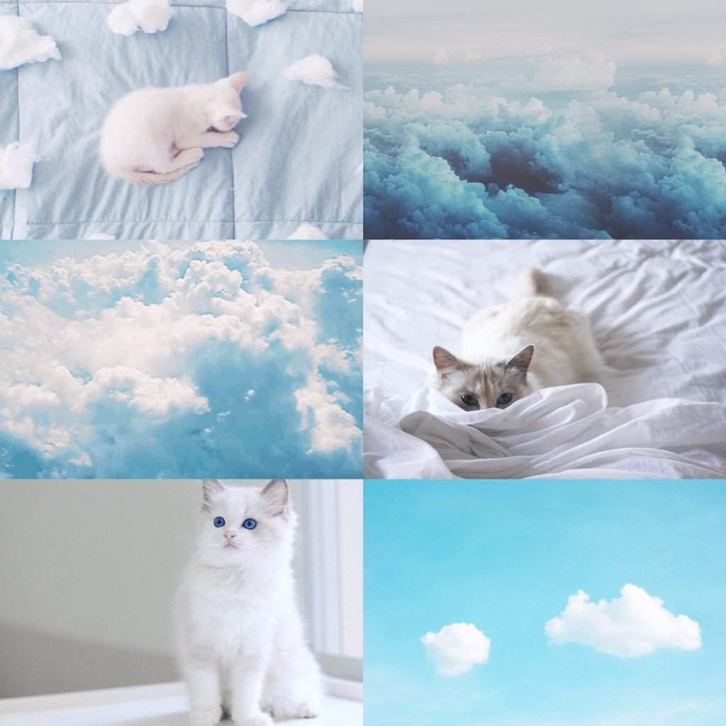 Эстетика котят коллаж