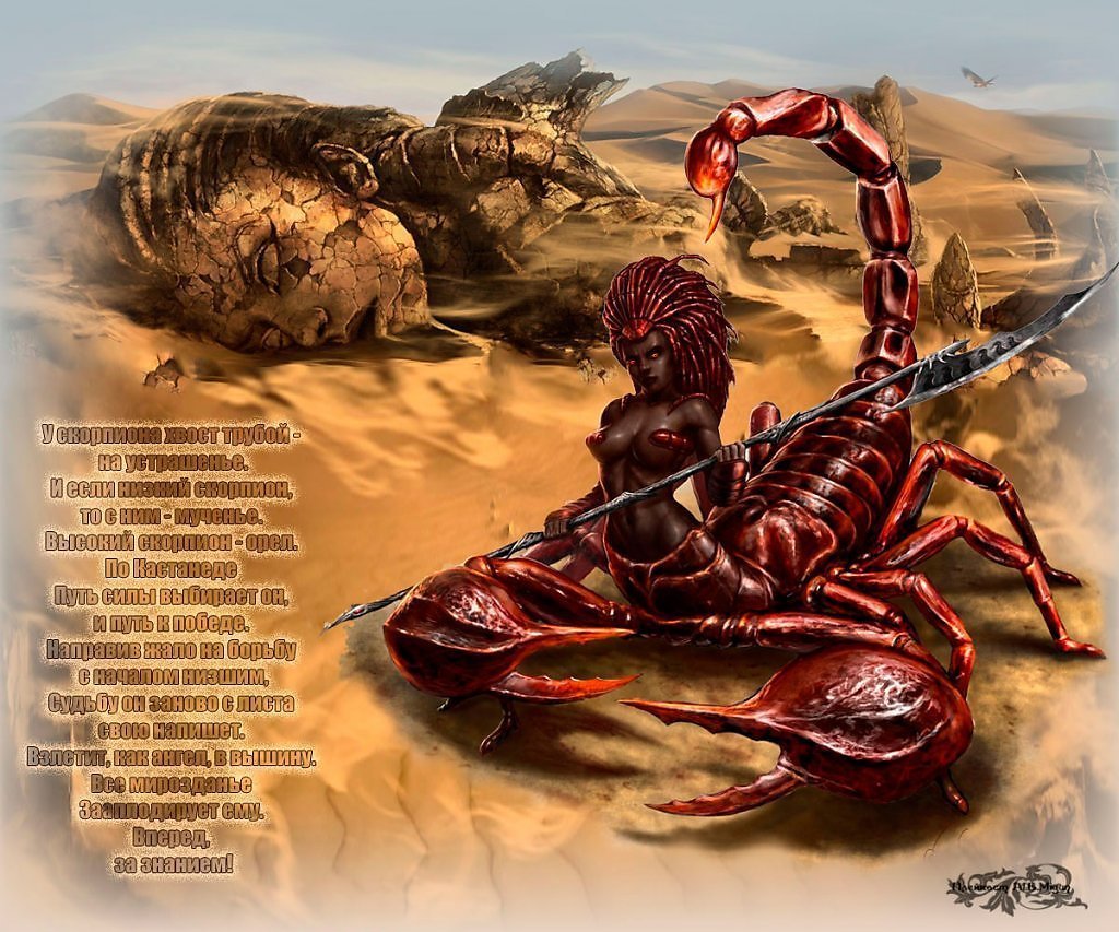 Знак зодиака Скорпион