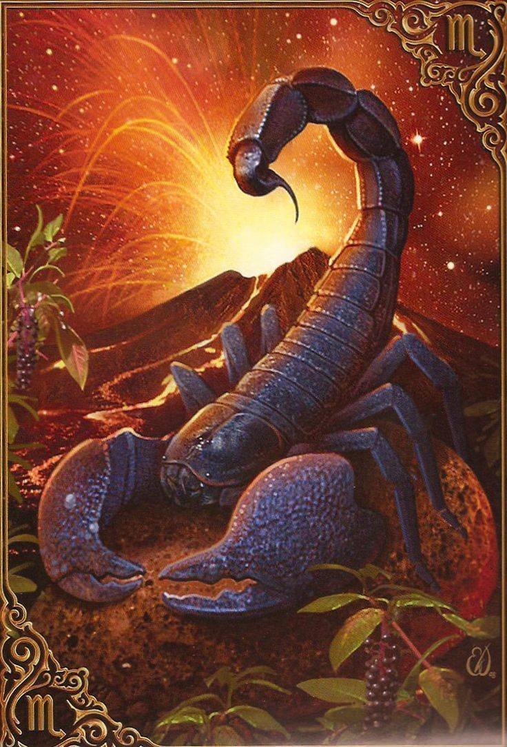 Скорпион знак Созвездие