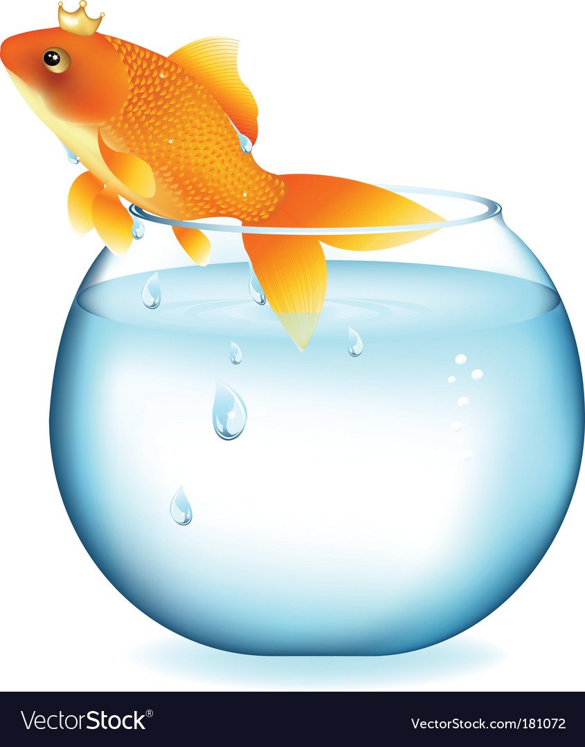 Рыбки на черном фоне