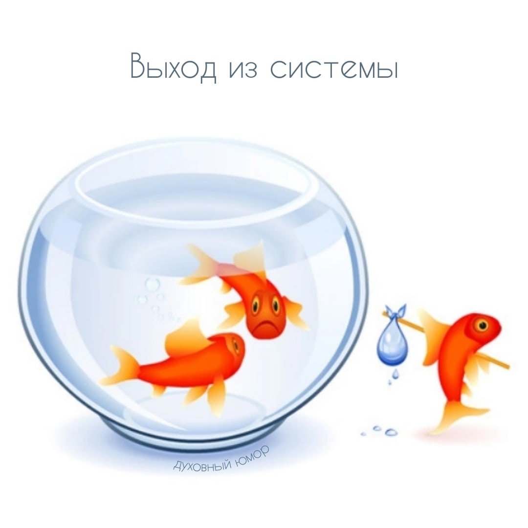 Поймай золотую рыбку