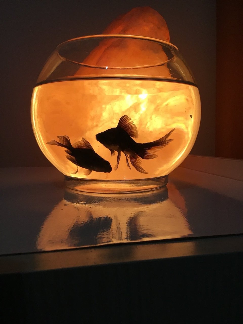 Танцующие рыбки