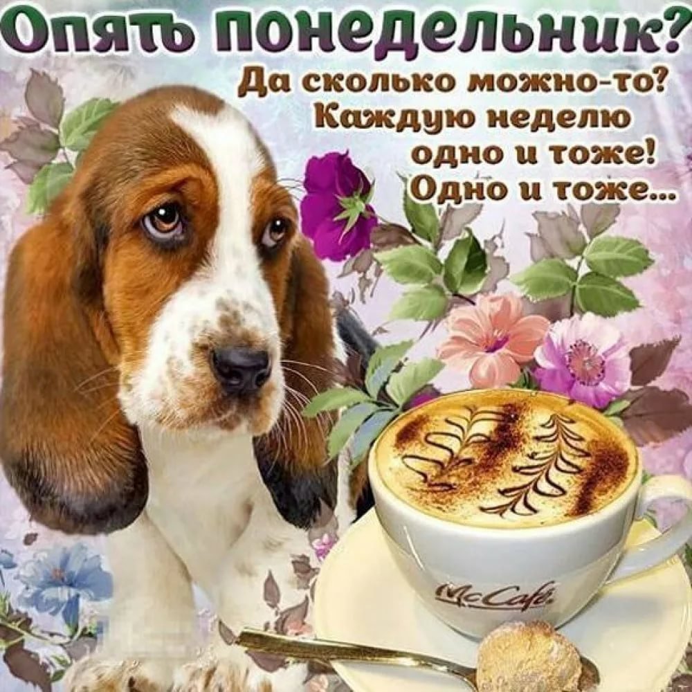 С началом рабочей недели