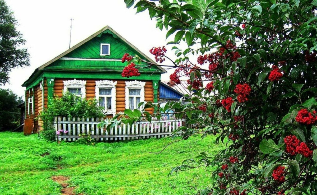 Деревенька моя Ольга Воронец