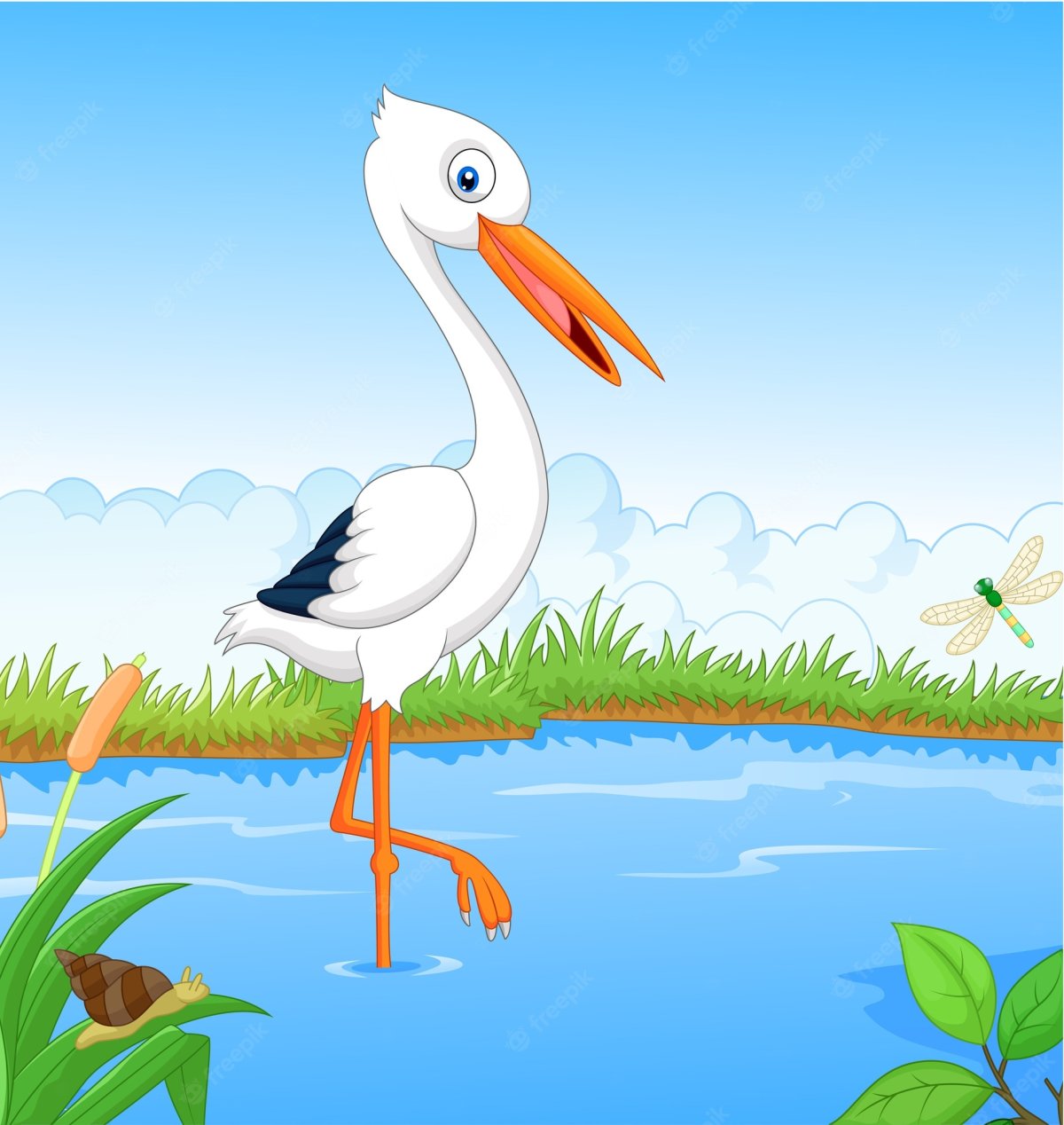 Белый Аист (Ciconia Ciconia)