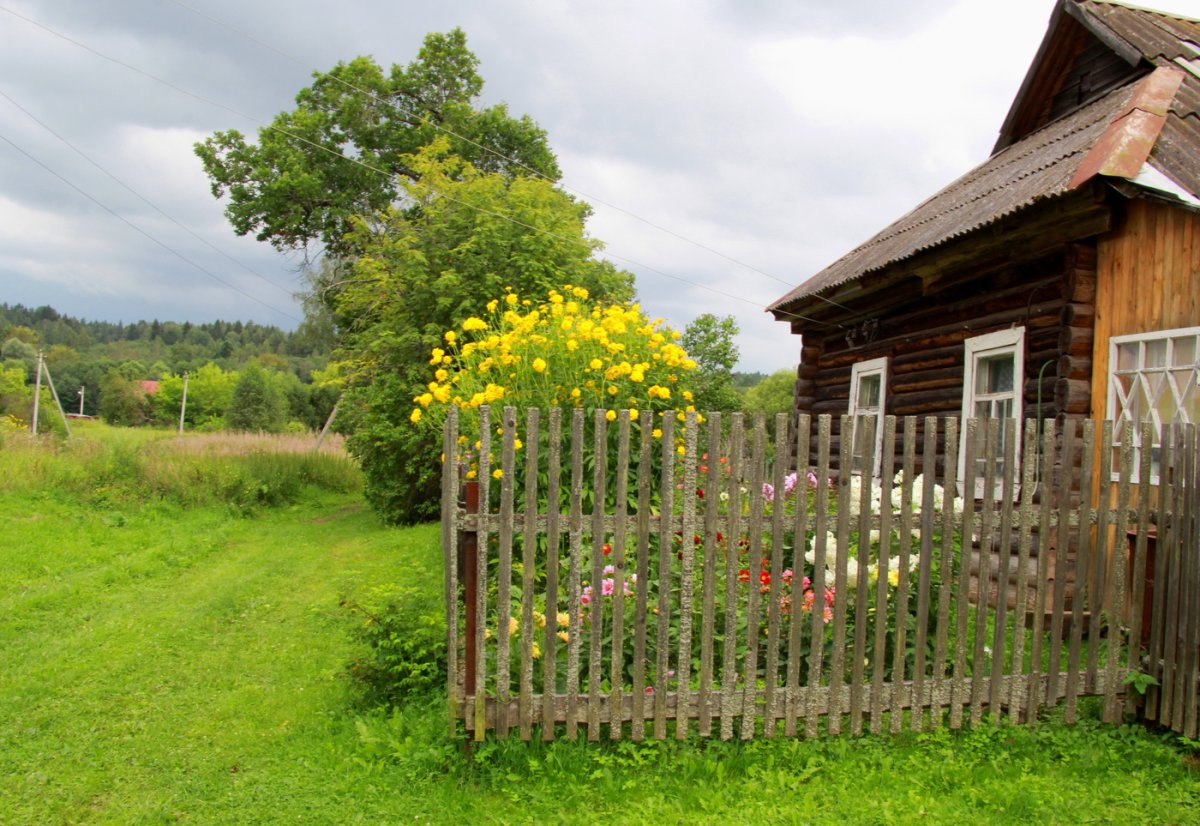 Лето деревня Палисад